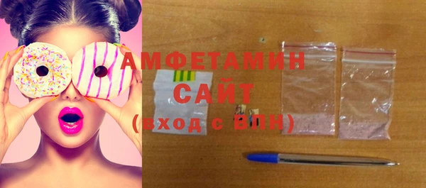 гашик Каменка