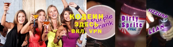 гашик Каменка
