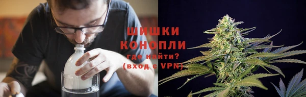 гашик Каменка