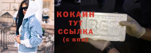 гашик Каменка