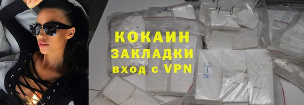 гашик Каменка