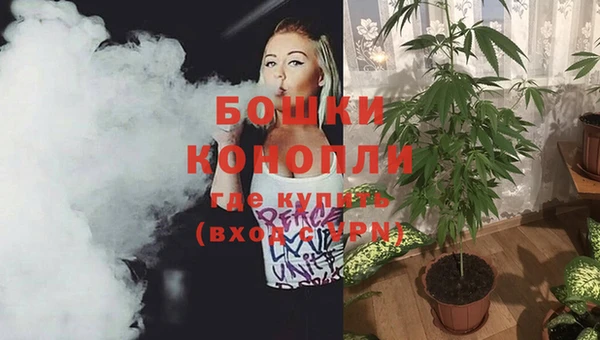 альфа пвп Каменногорск