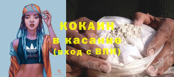 гашик Каменка