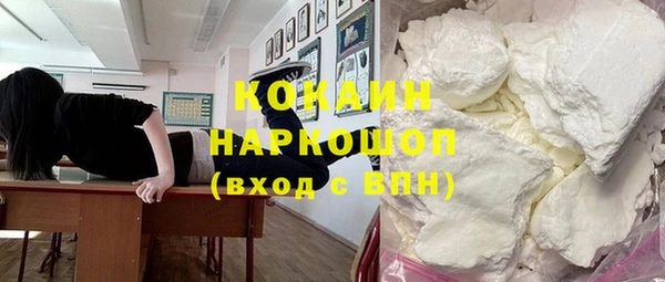 гашик Каменка