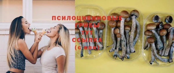 гашик Каменка